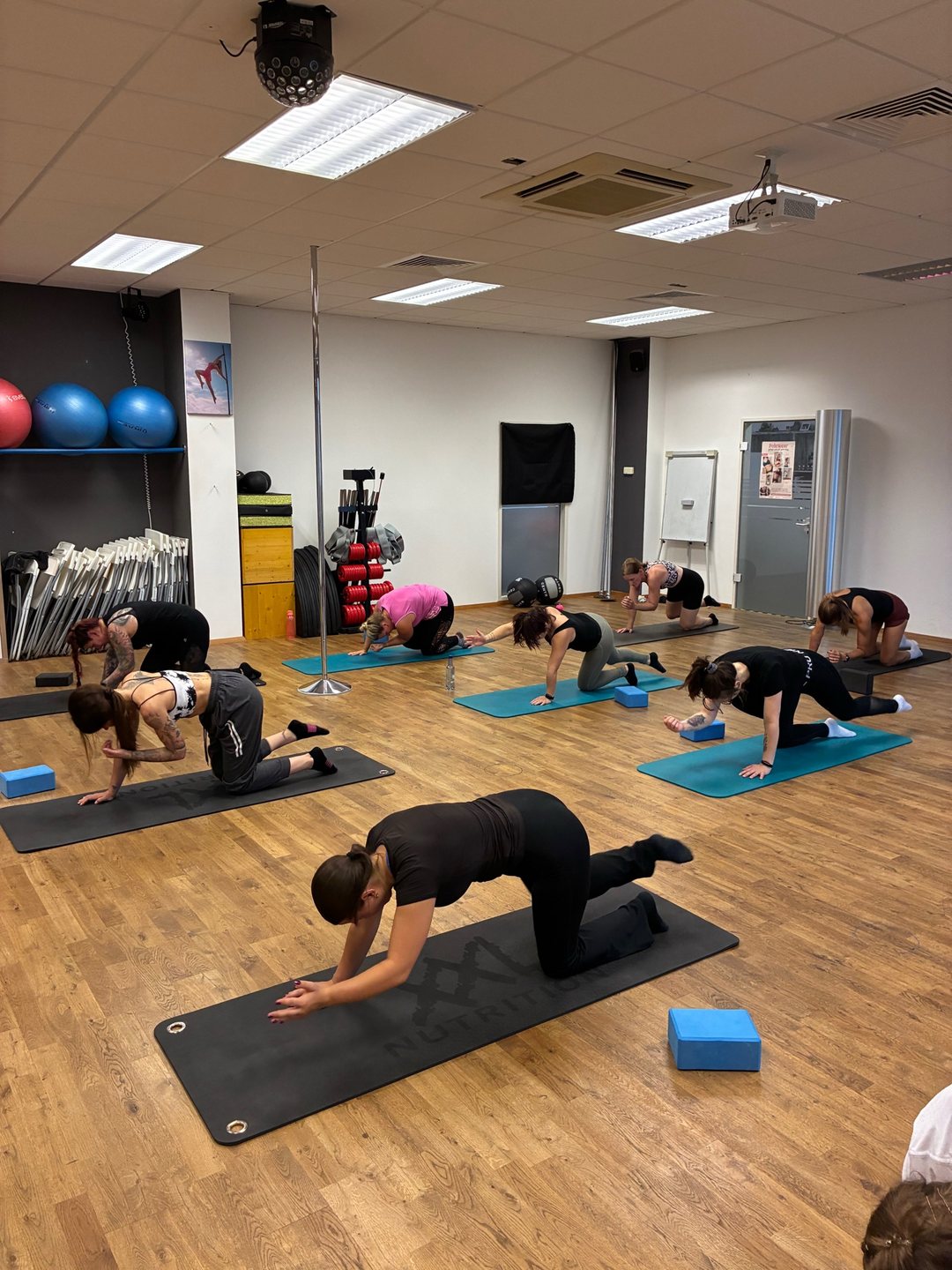 Kursgruppe beim angeleiteten Training mit Matten im Studio